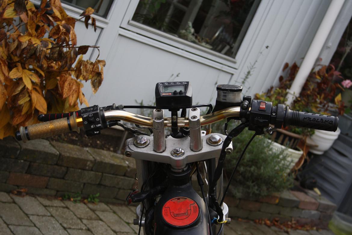 Sachs Bad ass billede 10