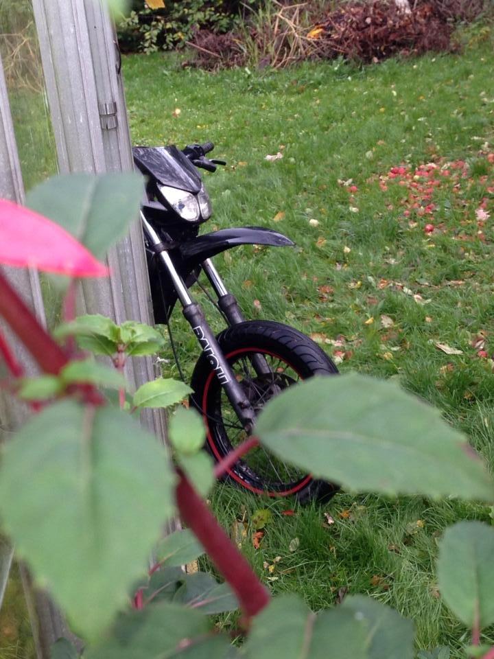 Derbi Senda Sm billede 1