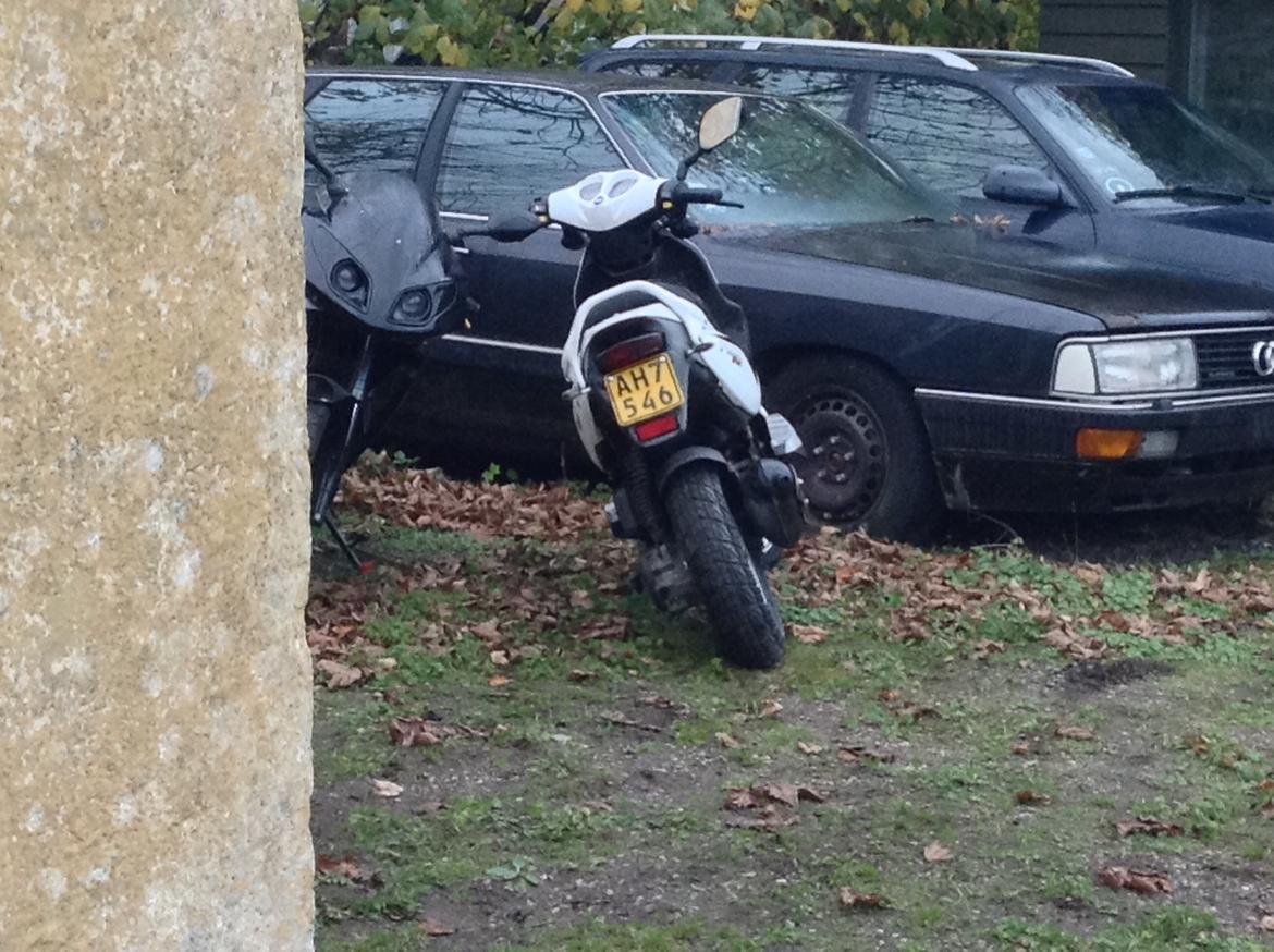 PGO PMX Sport billede 1