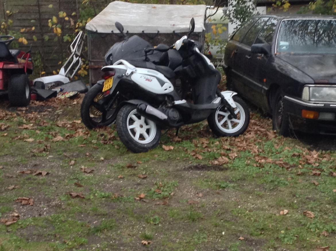 PGO PMX Sport billede 2