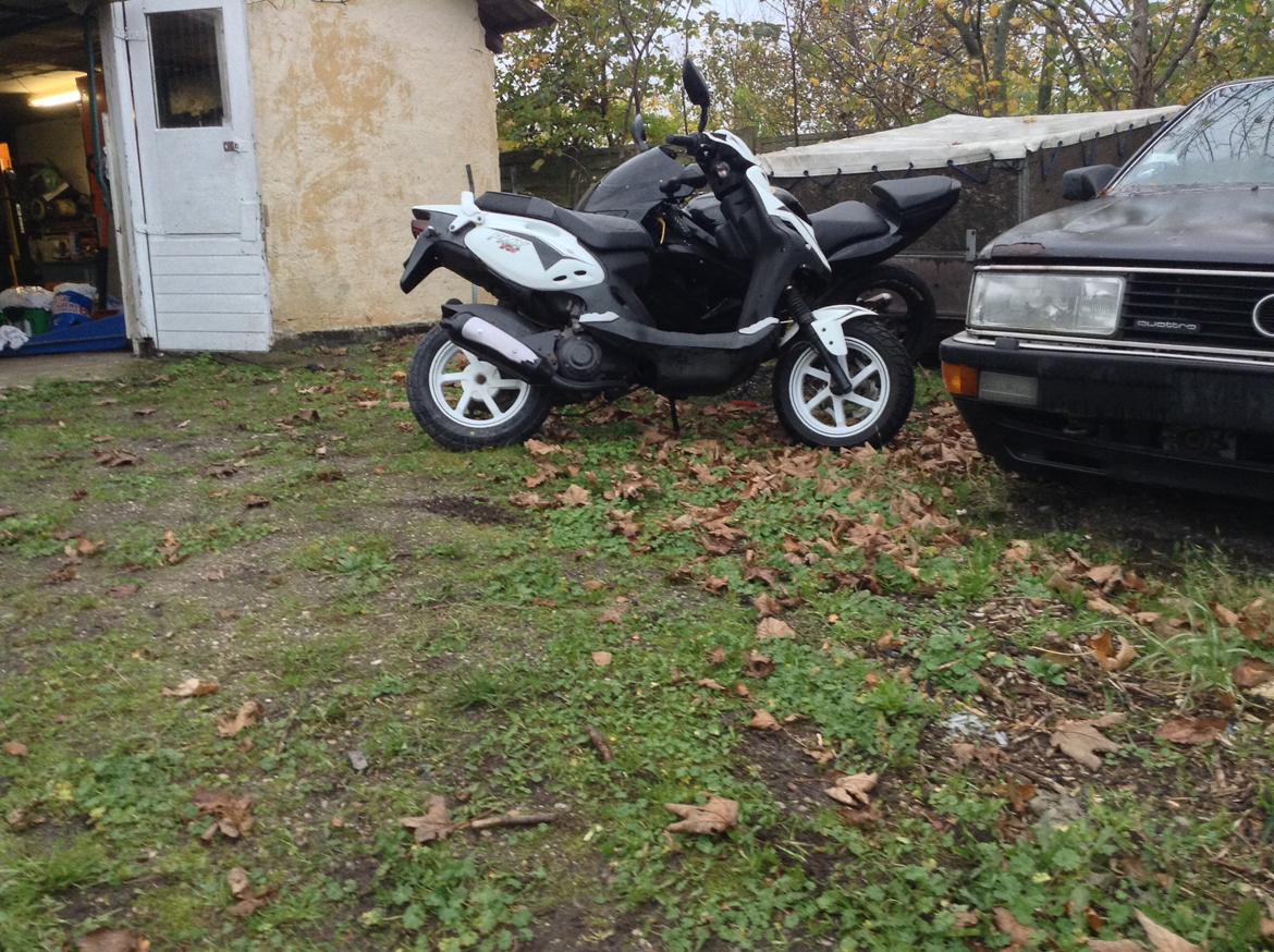 PGO PMX Sport billede 3