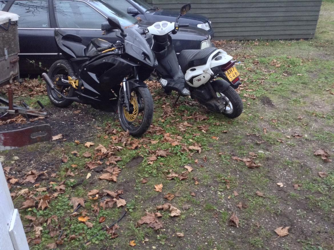 PGO PMX Sport billede 4