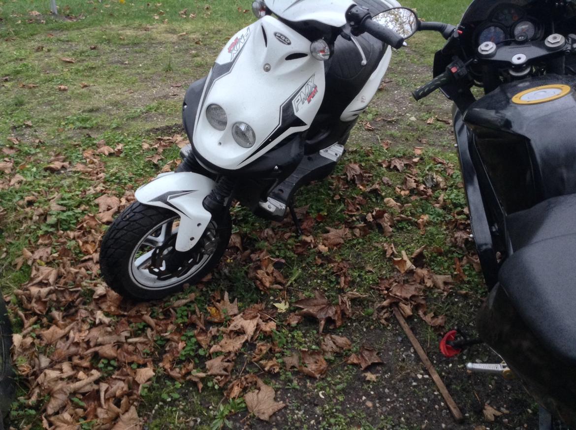 PGO PMX Sport billede 6