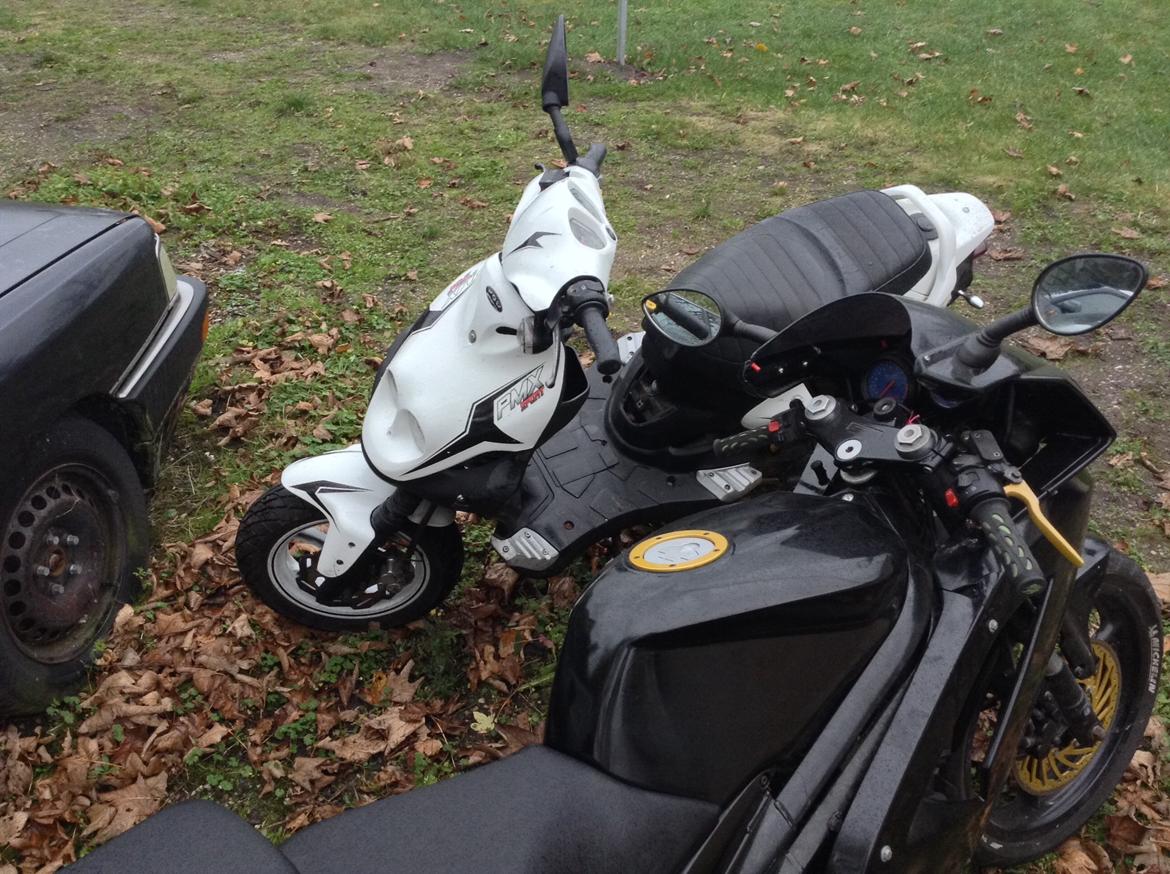 PGO PMX Sport billede 7