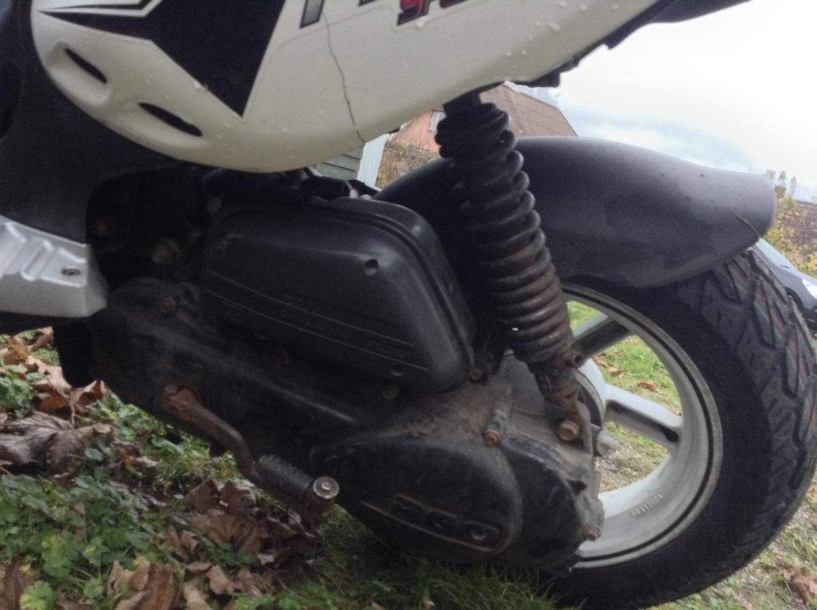 PGO PMX Sport billede 8