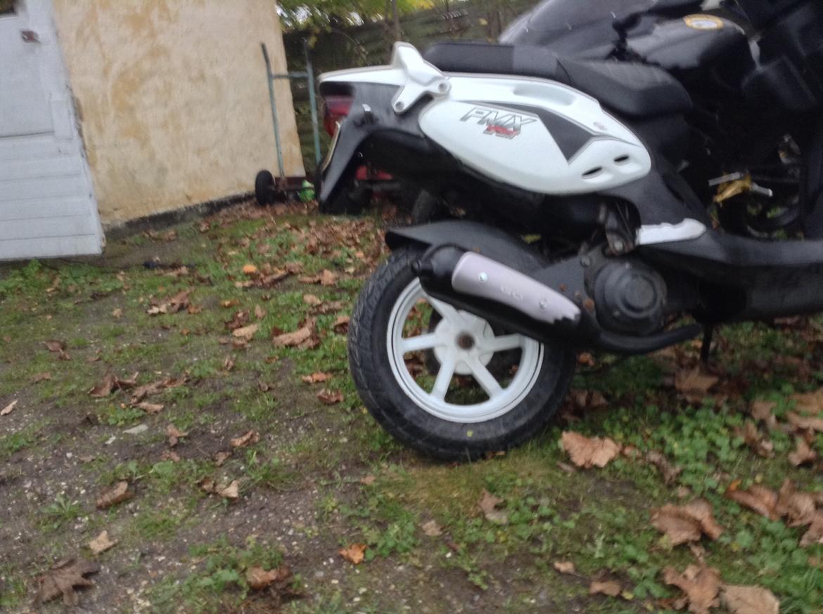 PGO PMX Sport billede 9