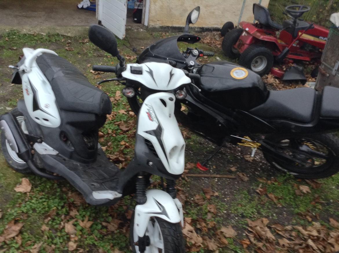 PGO PMX Sport billede 10