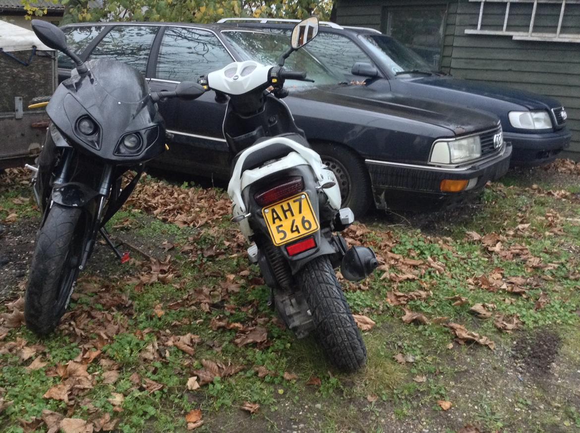 PGO PMX Sport billede 13