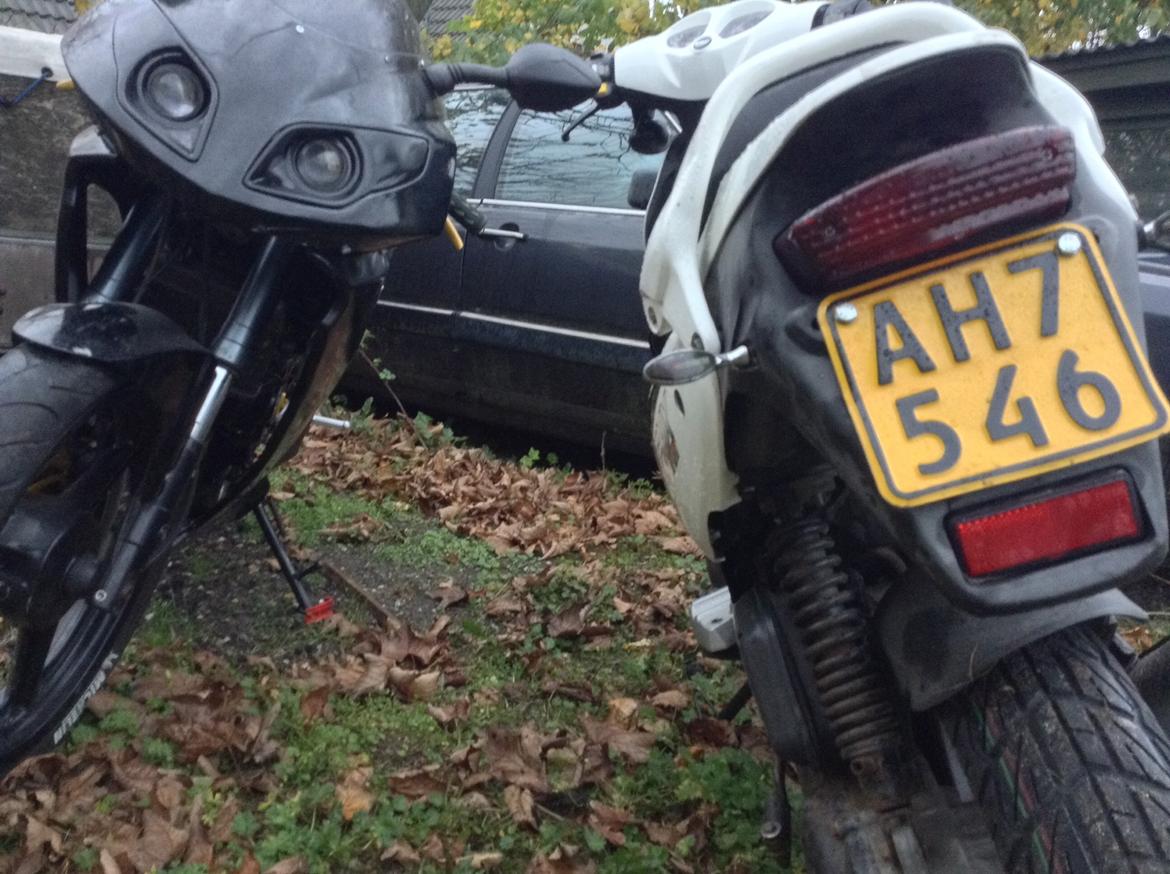 PGO PMX Sport billede 12