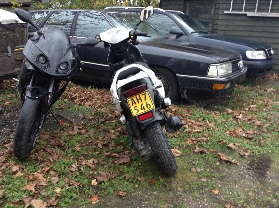 PGO PMX Sport billede 14