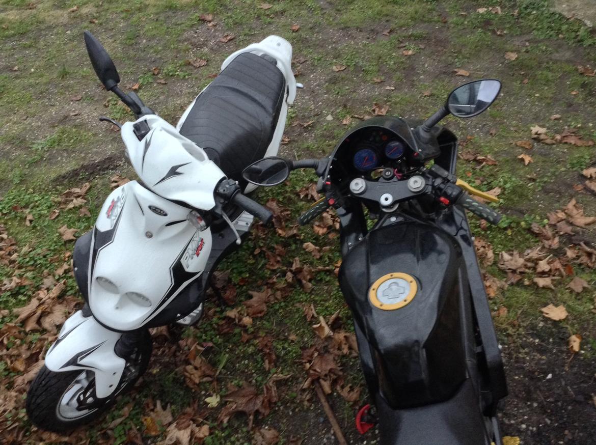 PGO PMX Sport billede 15