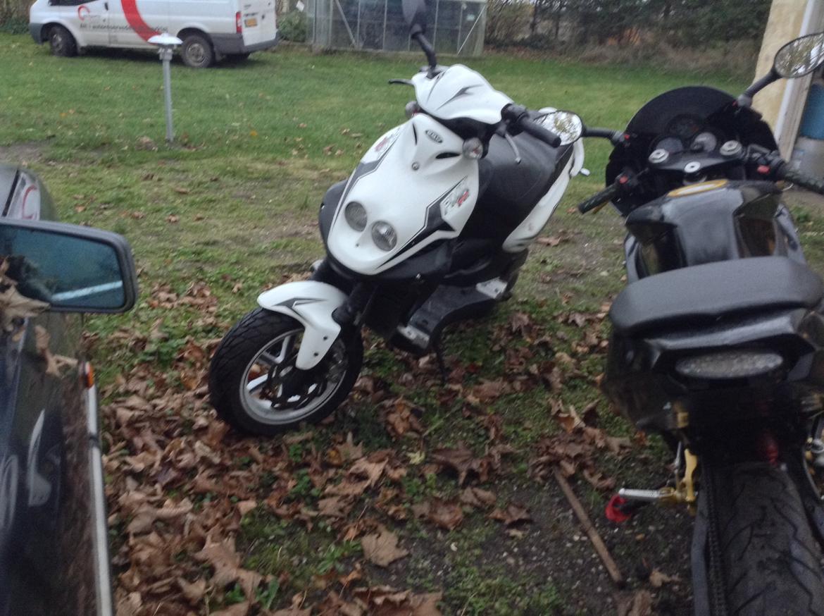 PGO PMX Sport billede 16