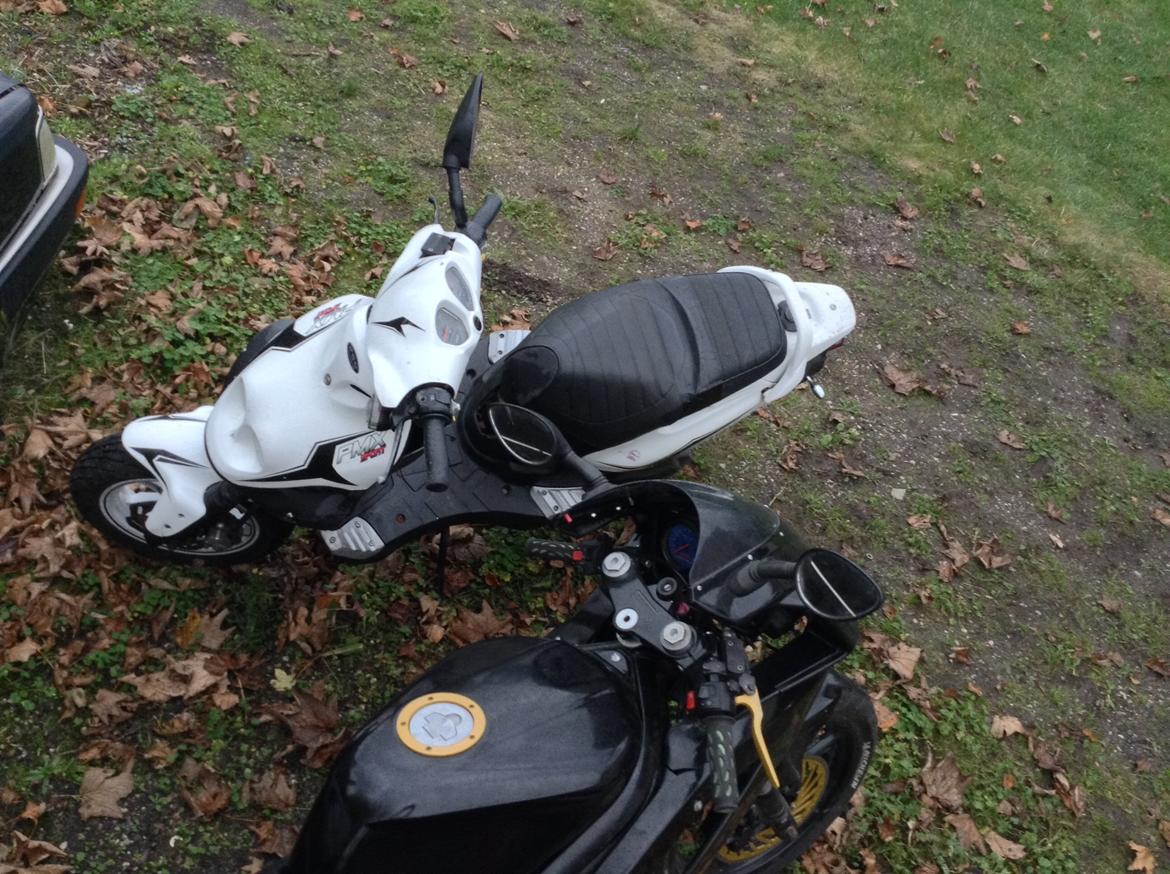 PGO PMX Sport billede 17