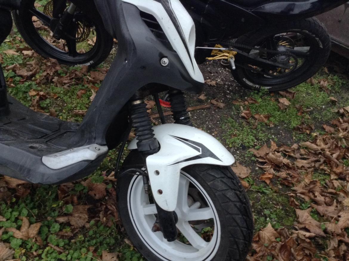 PGO PMX Sport billede 19