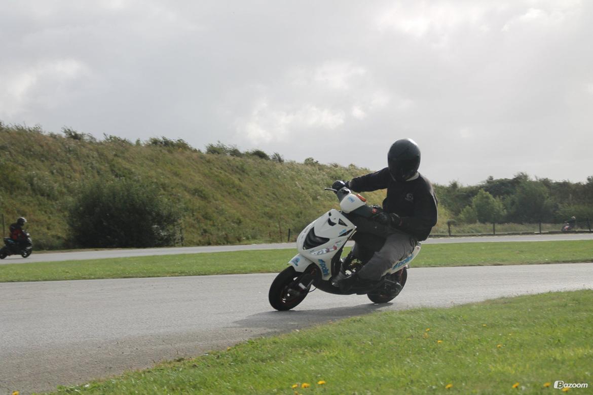 Piaggio Zip SP VK SS TS BE 84cc - BT på nakken af dyret billede 29