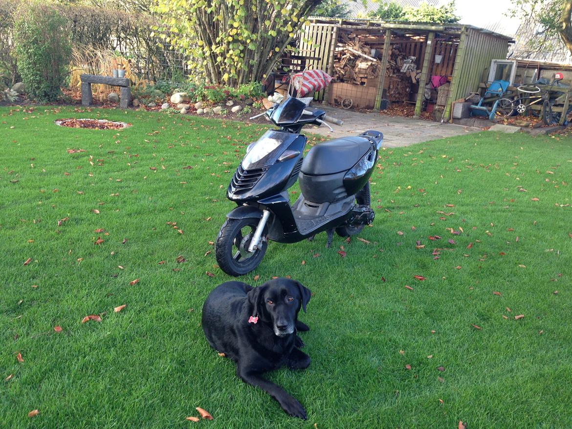 Aprilia Sonic GP billede 8