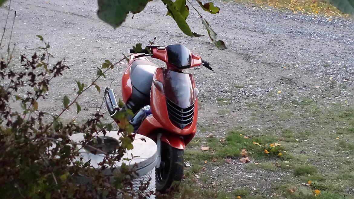 Aprilia Sonic "2FST billede 10