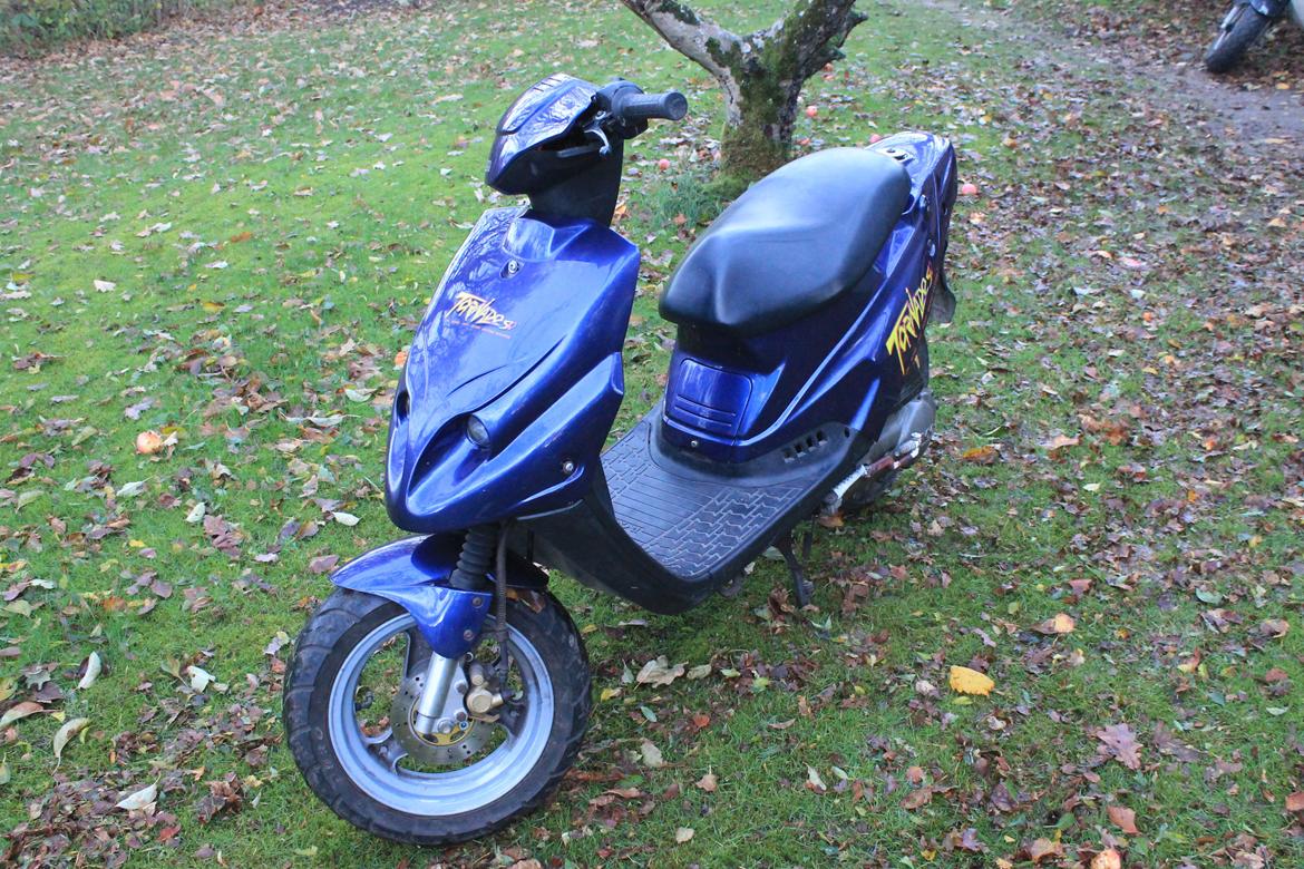 PGO Tornado billede 2