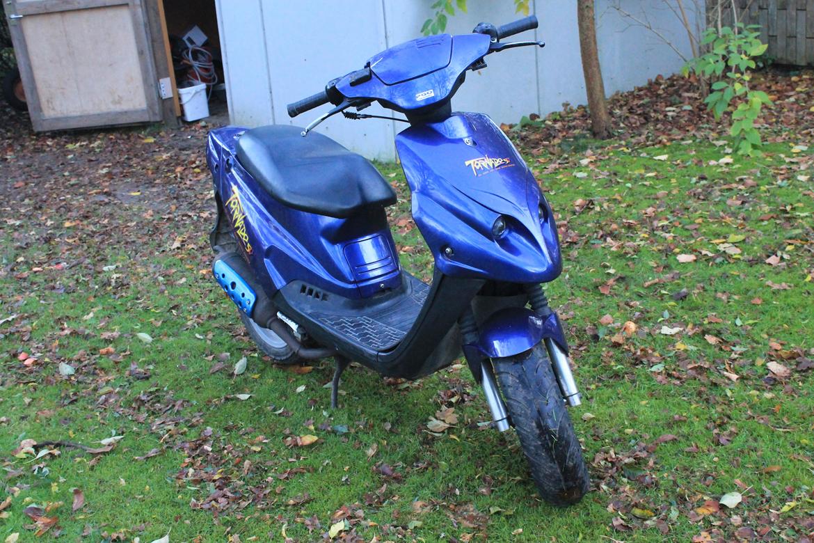 PGO Tornado billede 6