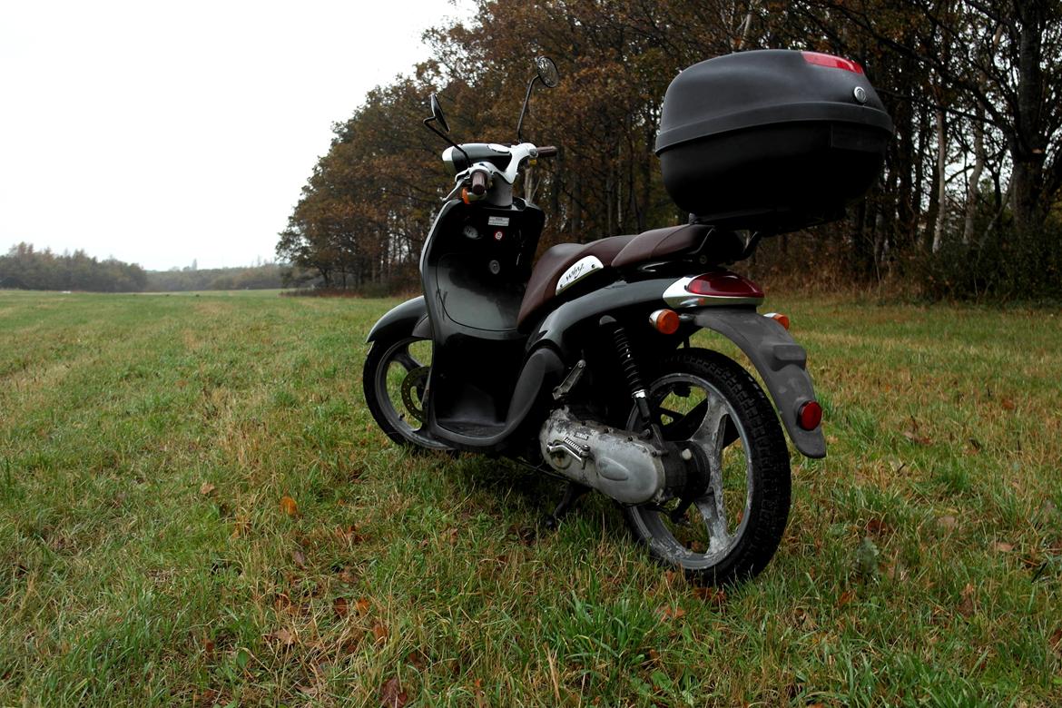 Yamaha Why 50 - "Gammelsmølf" billede 5