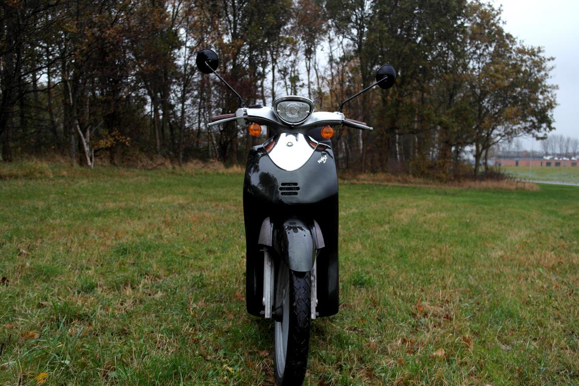 Yamaha Why 50 - "Gammelsmølf" billede 3