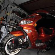 Peugeot Speedfight 2