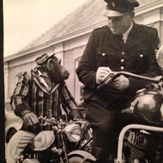 Skyteam Monkey Z 50 J