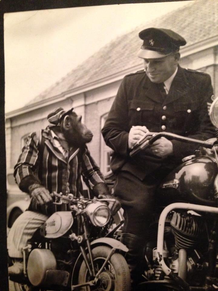 Skyteam Monkey Z 50 J billede 1