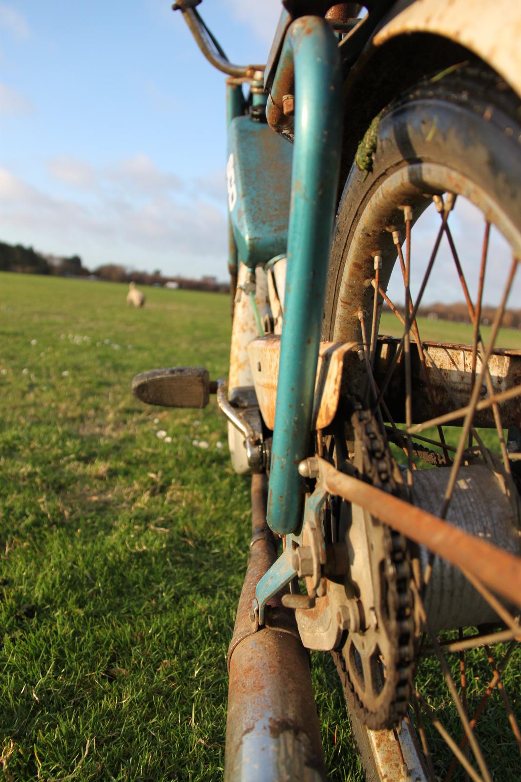 Sco Populær billede 2