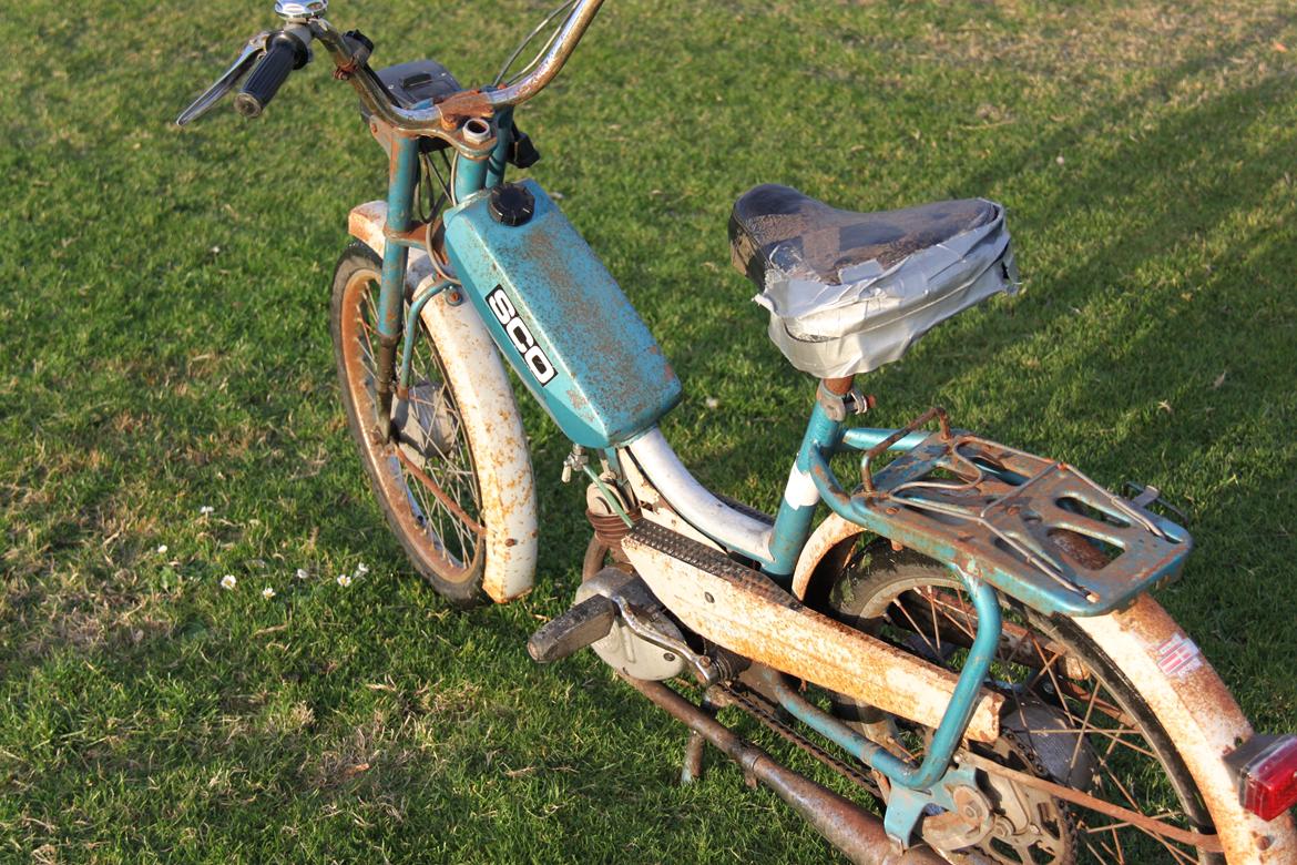 Sco Populær billede 3