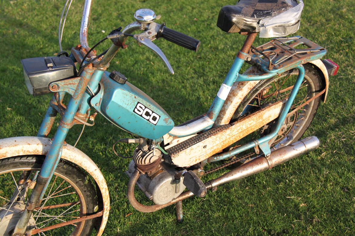 Sco Populær billede 4