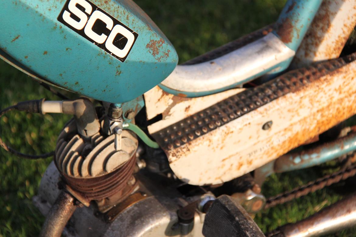 Sco Populær billede 5