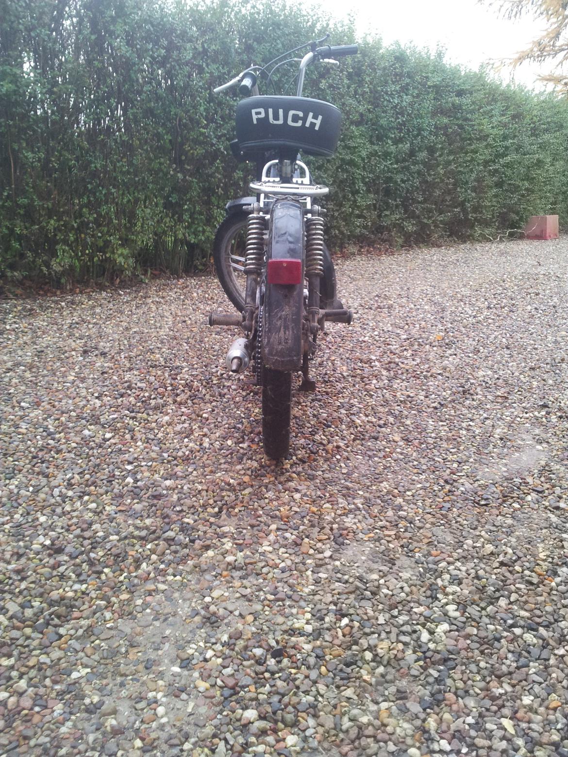 Puch maxi kl efter tun billede 4