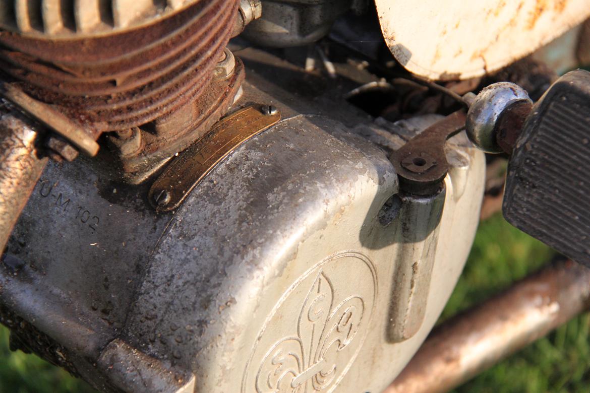 Sco Populær billede 6