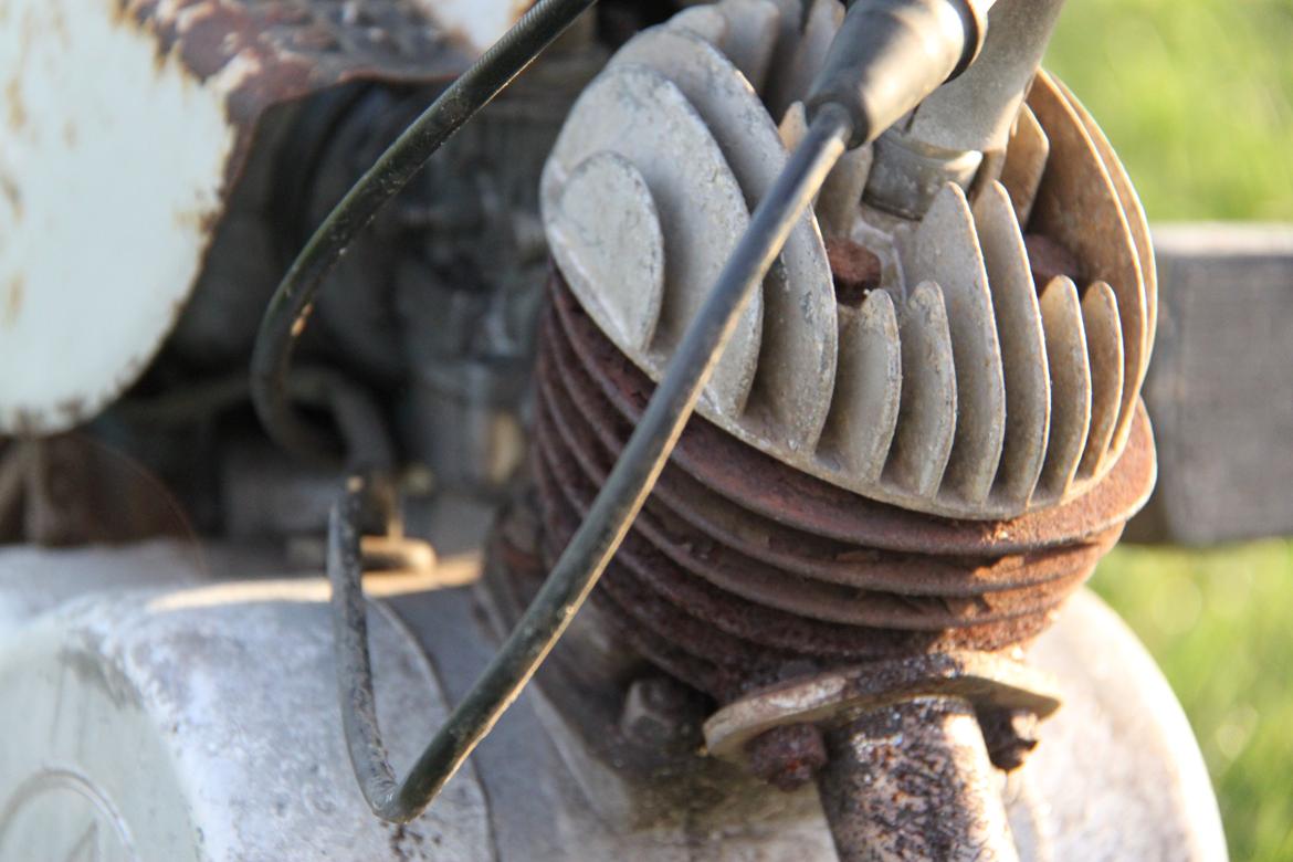 Sco Populær billede 7