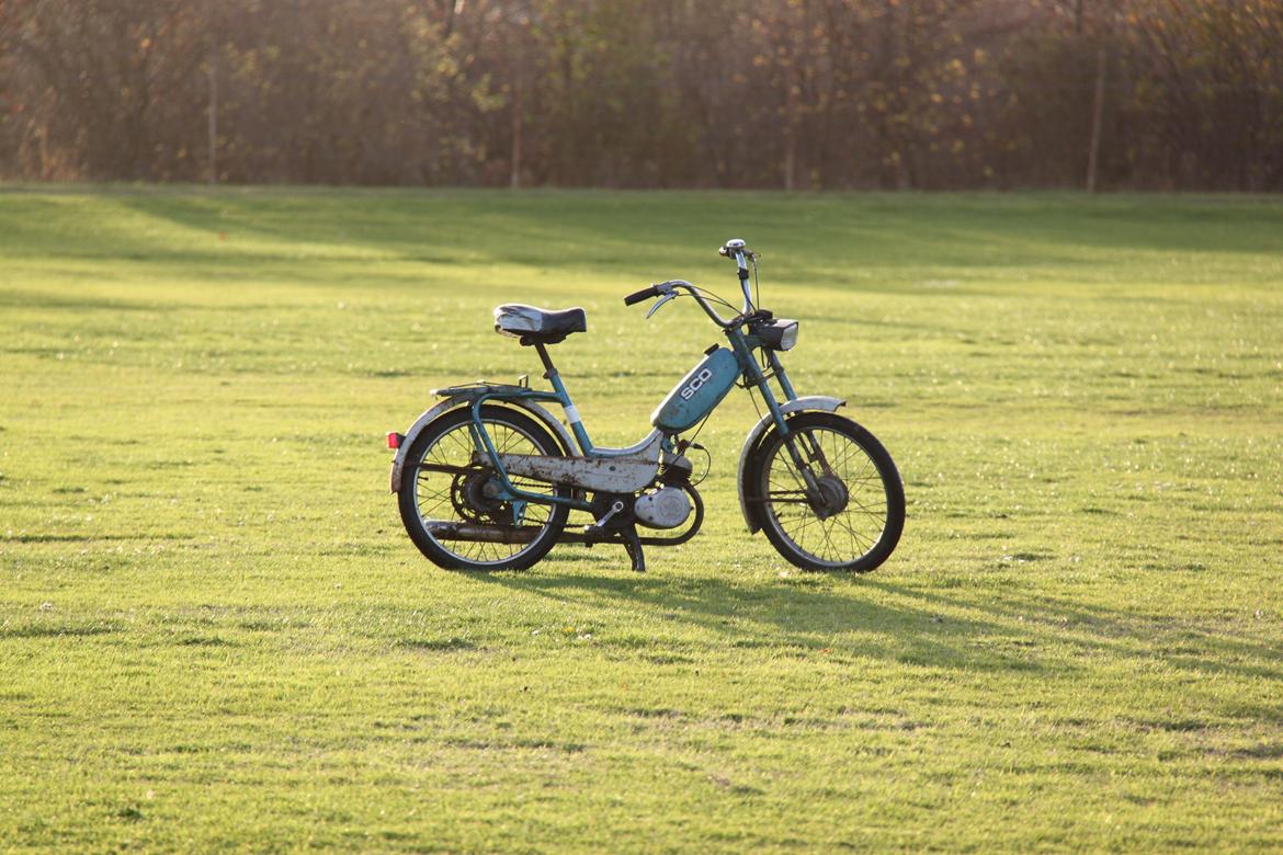 Sco Populær billede 8