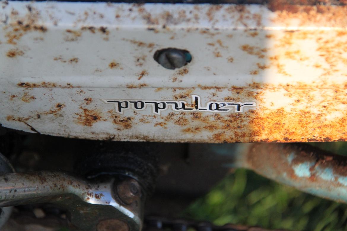 Sco Populær billede 9