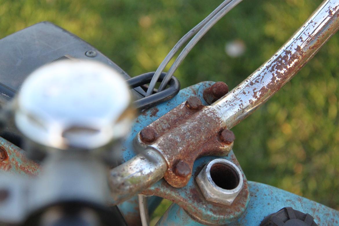 Sco Populær billede 10