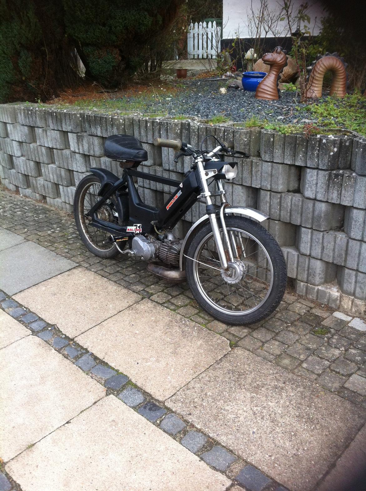 Puch Maxi K billede 1