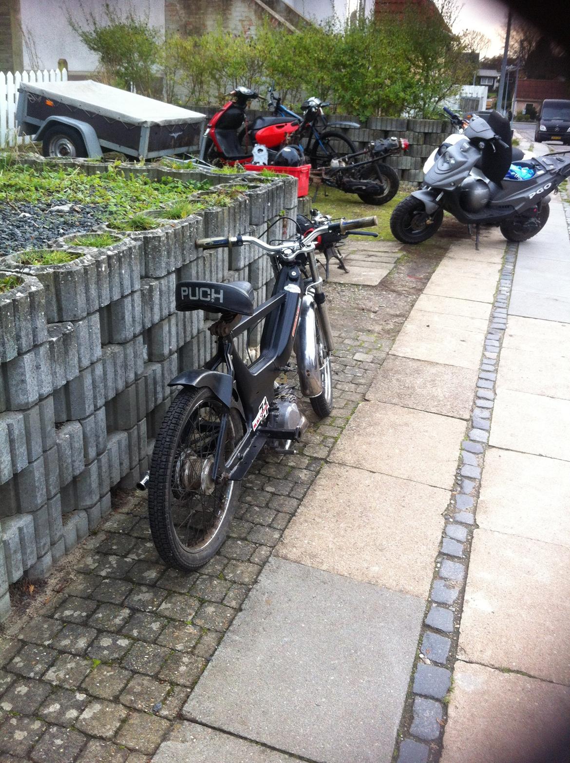 Puch Maxi K billede 3