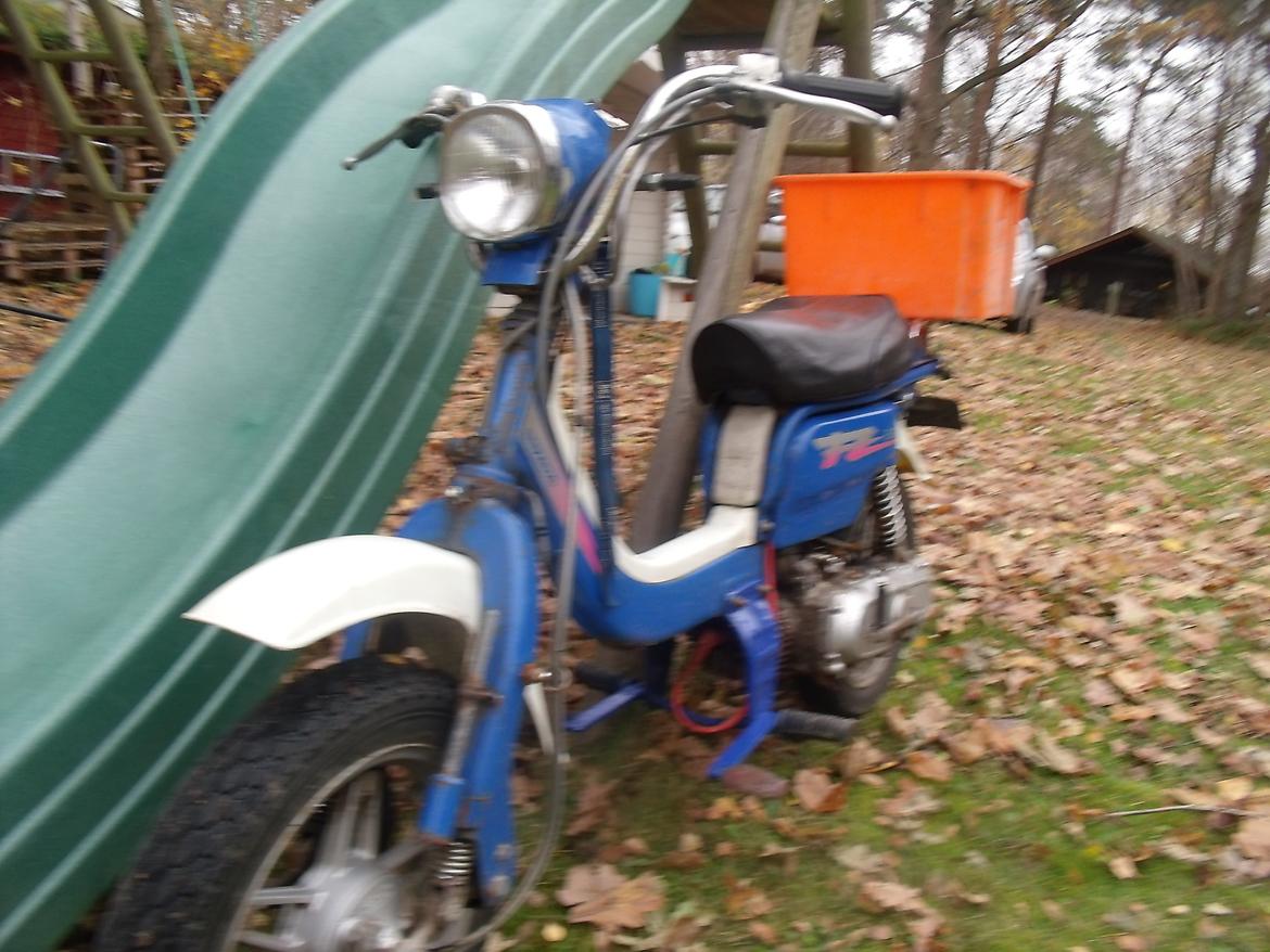 Suzuki Fz 50 billede 2