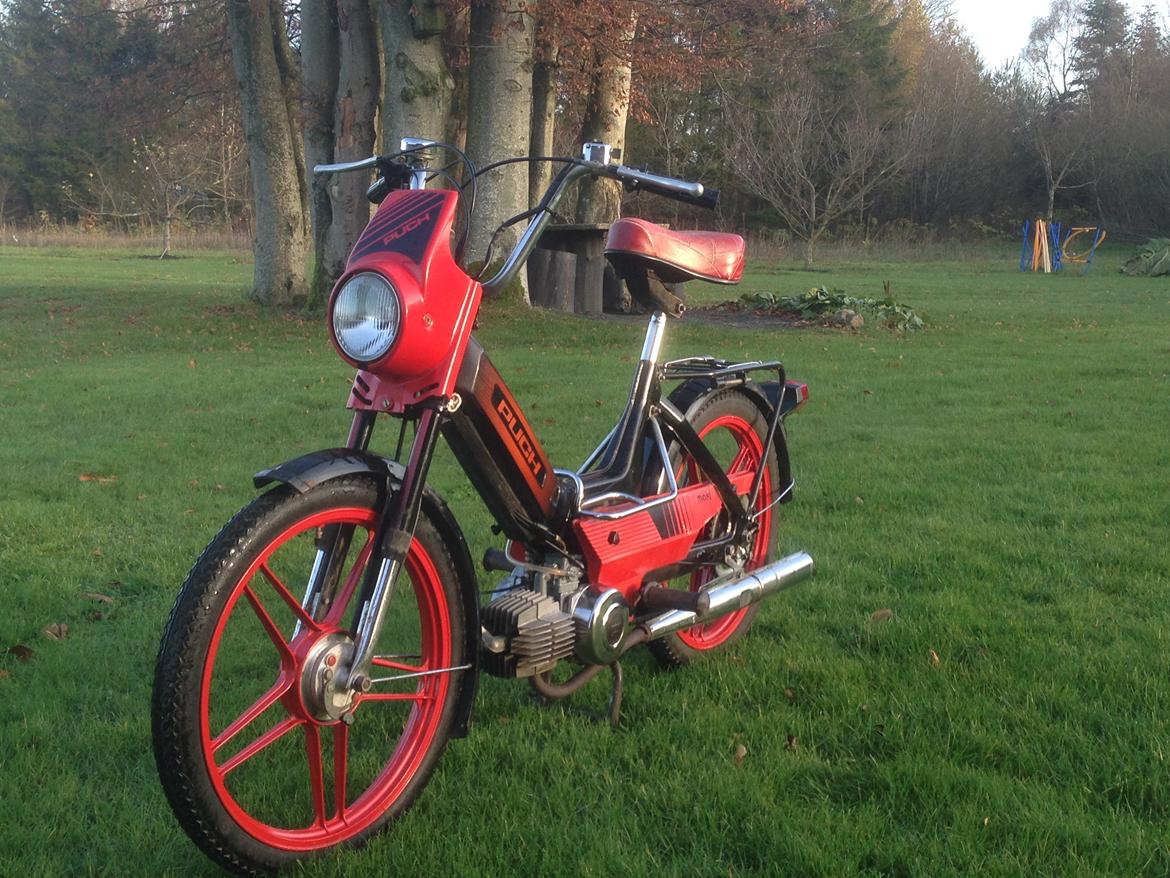 Puch Maxi K / Jubilæumsmodel billede 13
