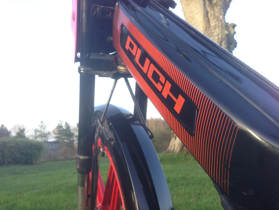 Puch Maxi K / Jubilæumsmodel billede 14