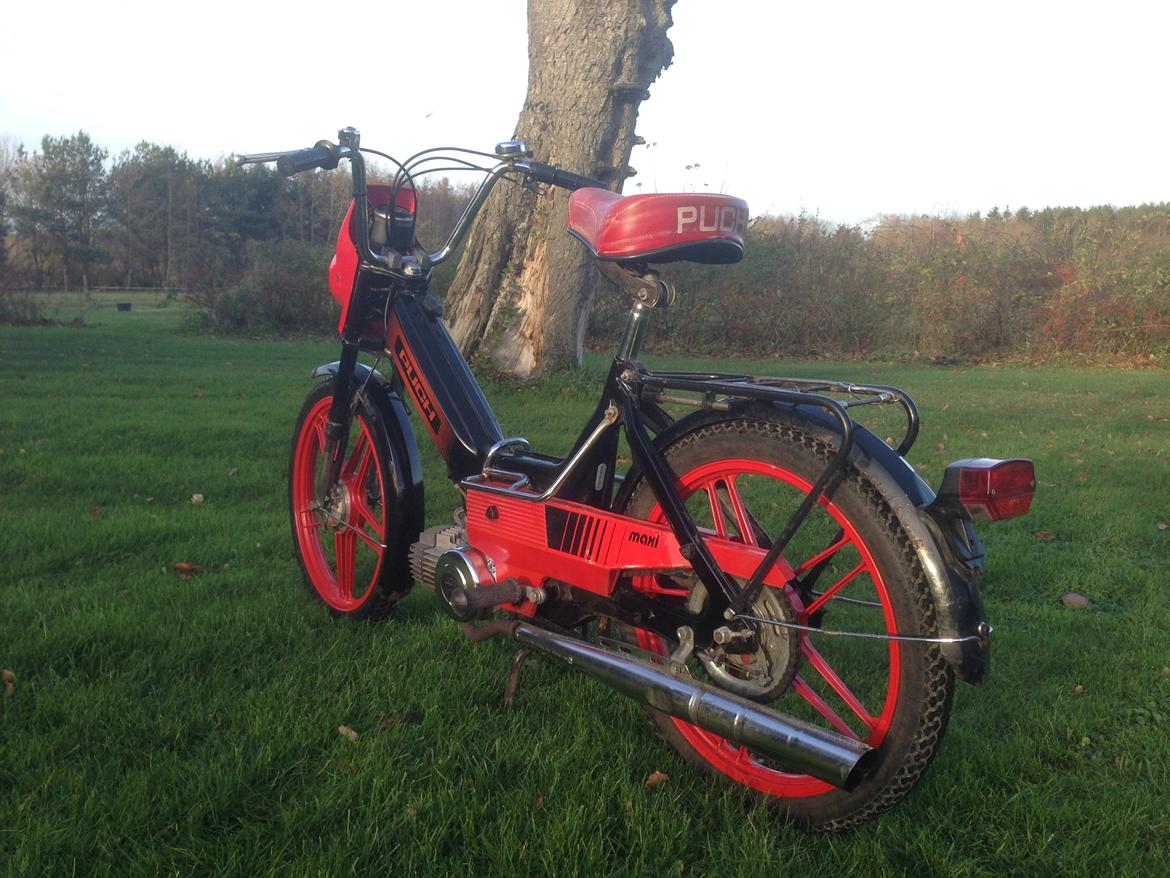 Puch Maxi K / Jubilæumsmodel billede 17