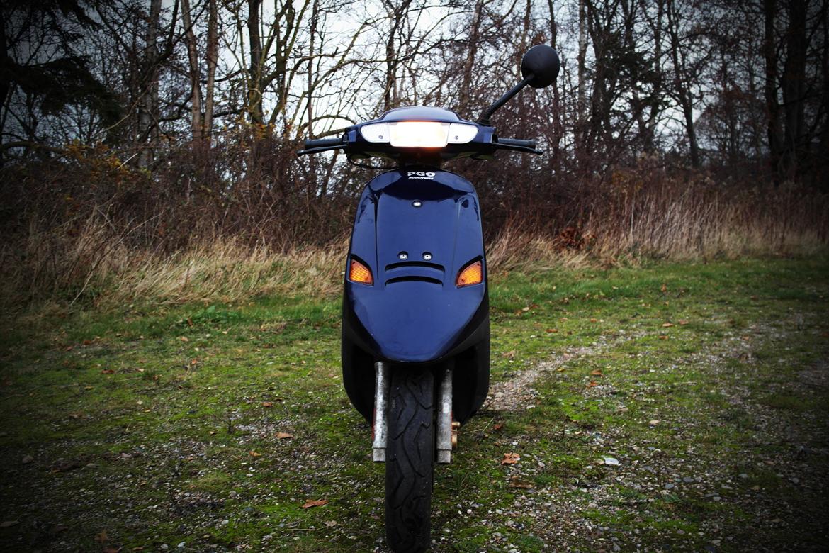 PGO Comet E1 "Delfinen" billede 9