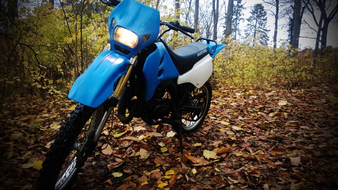 Suzuki SMX 50 LC DD "Smølfen" - Lille hyggetur i skoven..
 billede 10