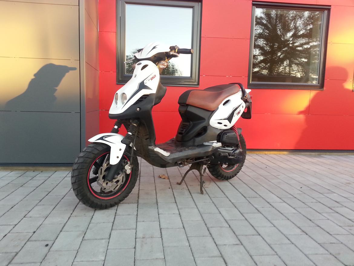 PGO PMX SPORT billede 1