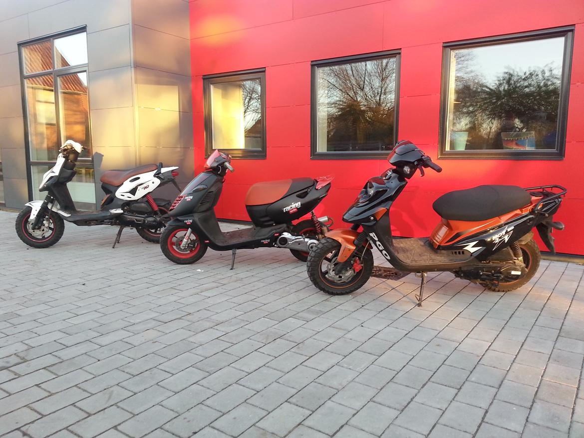 PGO PMX SPORT billede 4