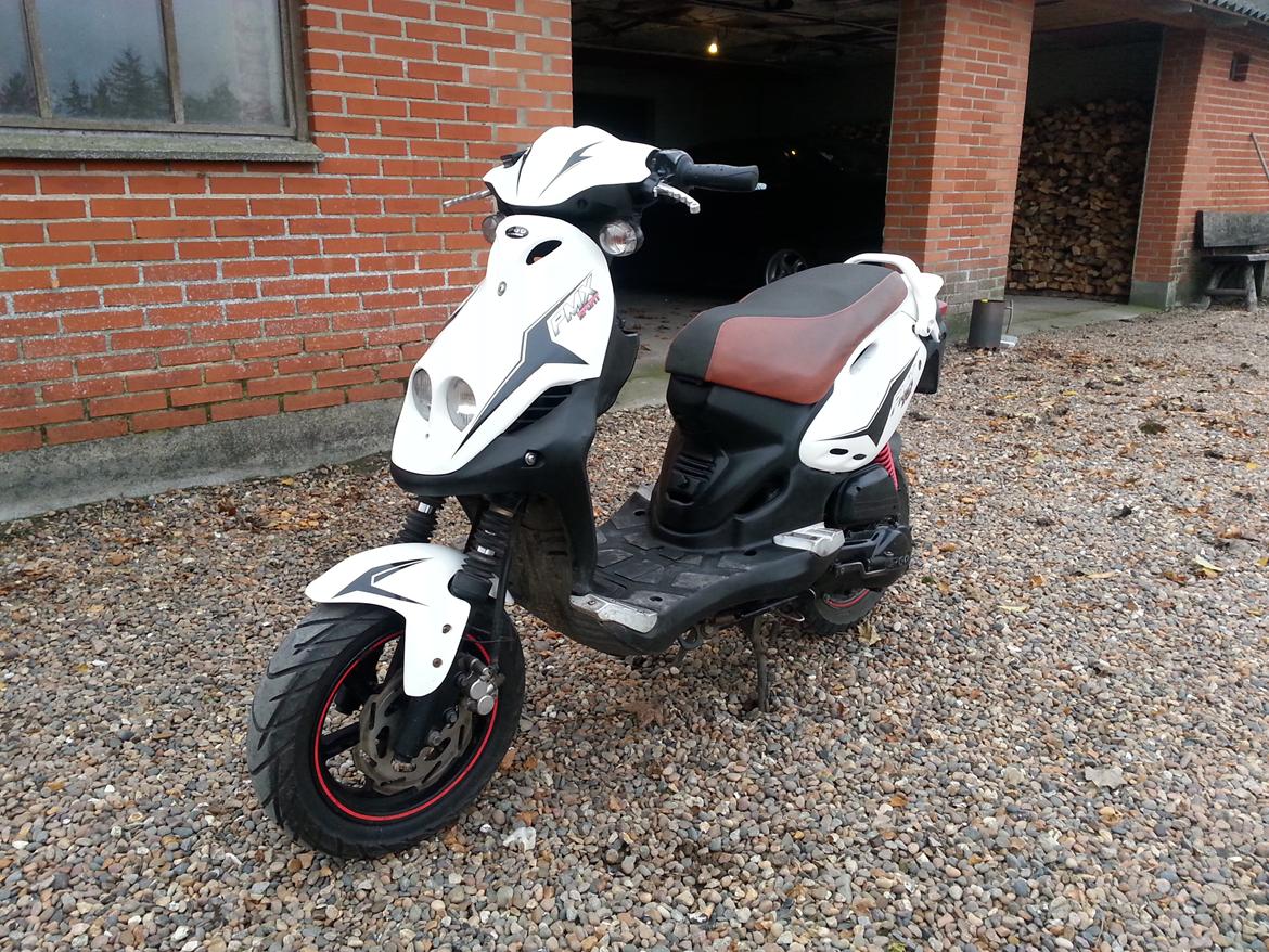 PGO PMX SPORT billede 6