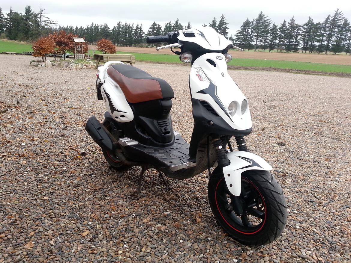 PGO PMX SPORT billede 7